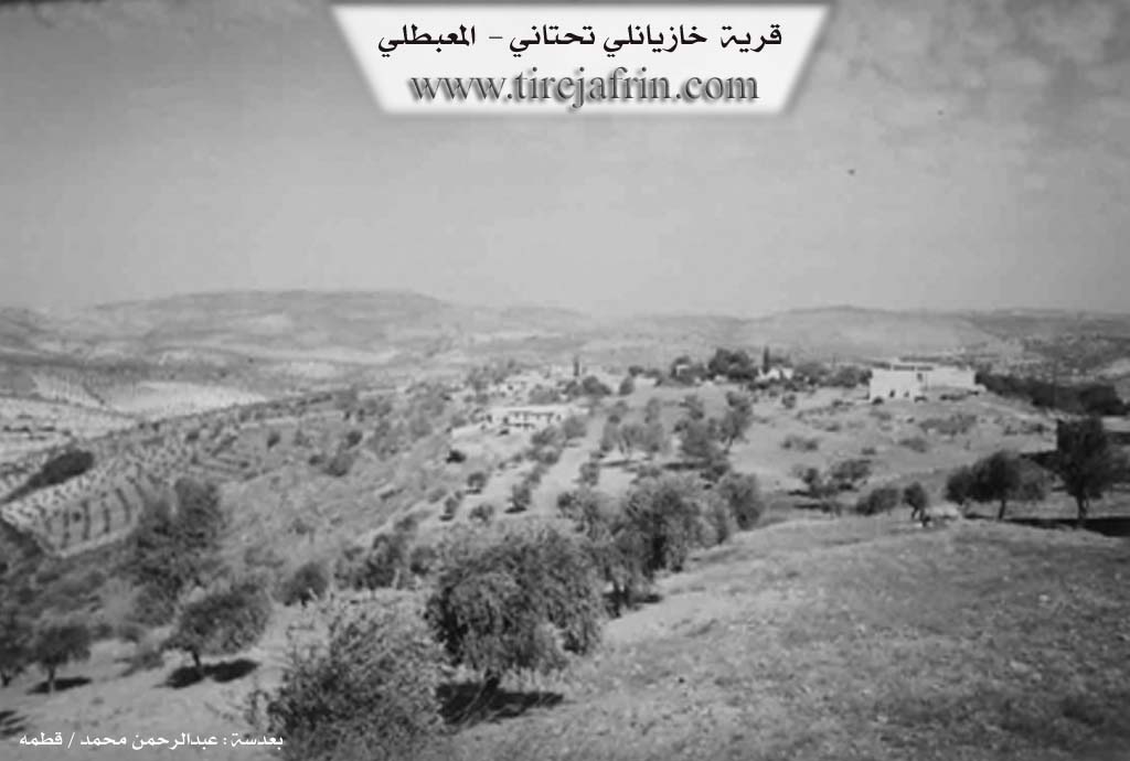 Photo of Xazyanê Jêrin